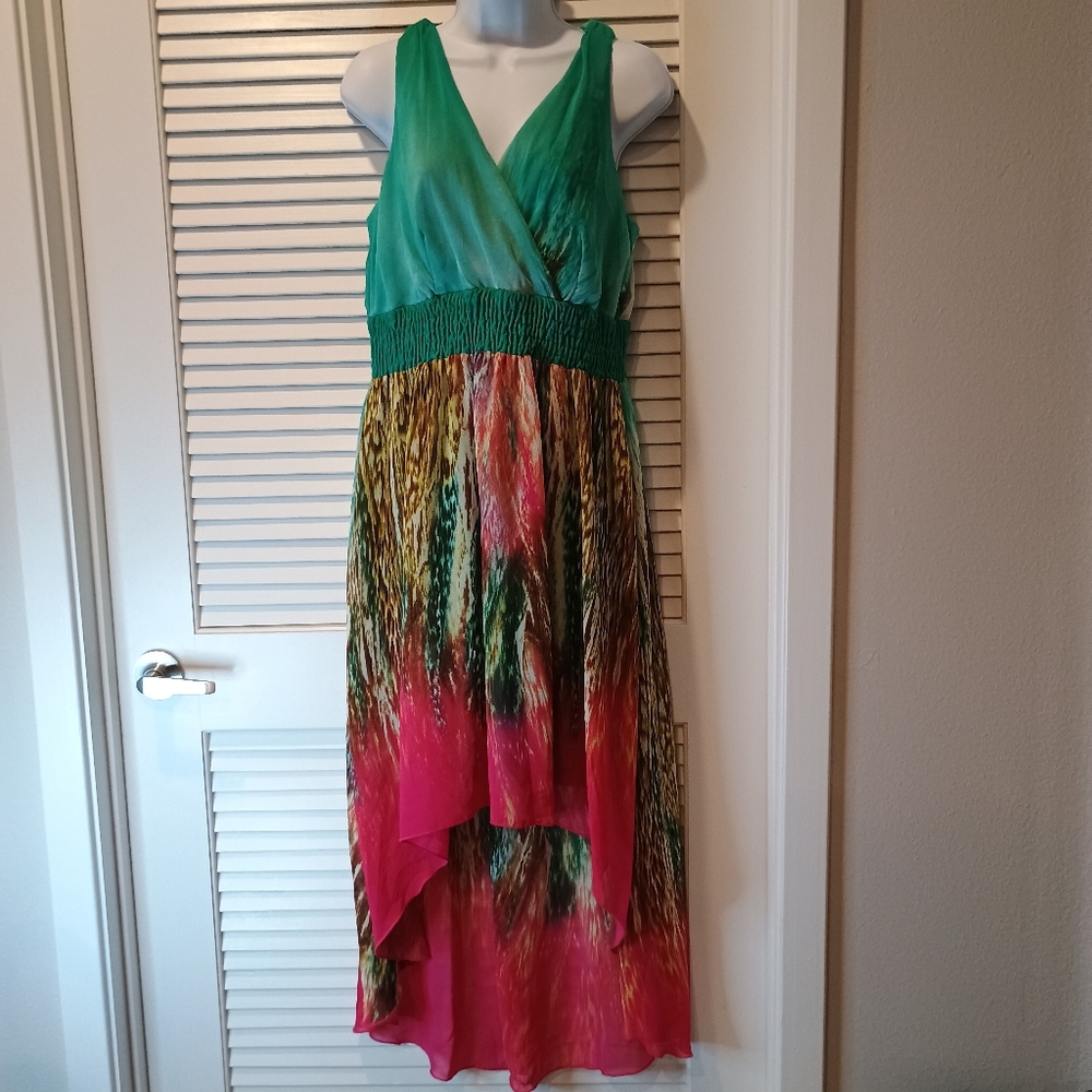 Rabbit Rabbit Rabbit Green and Pink Sleeveless High Low Dress Size 14 P